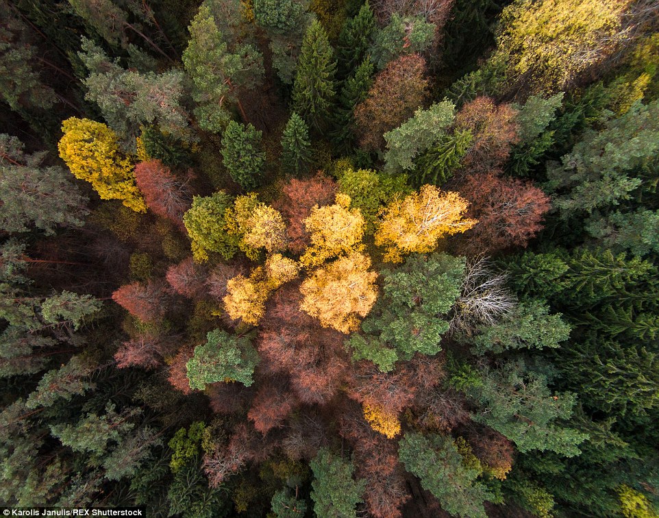 Lithuania autmun drone footage 3