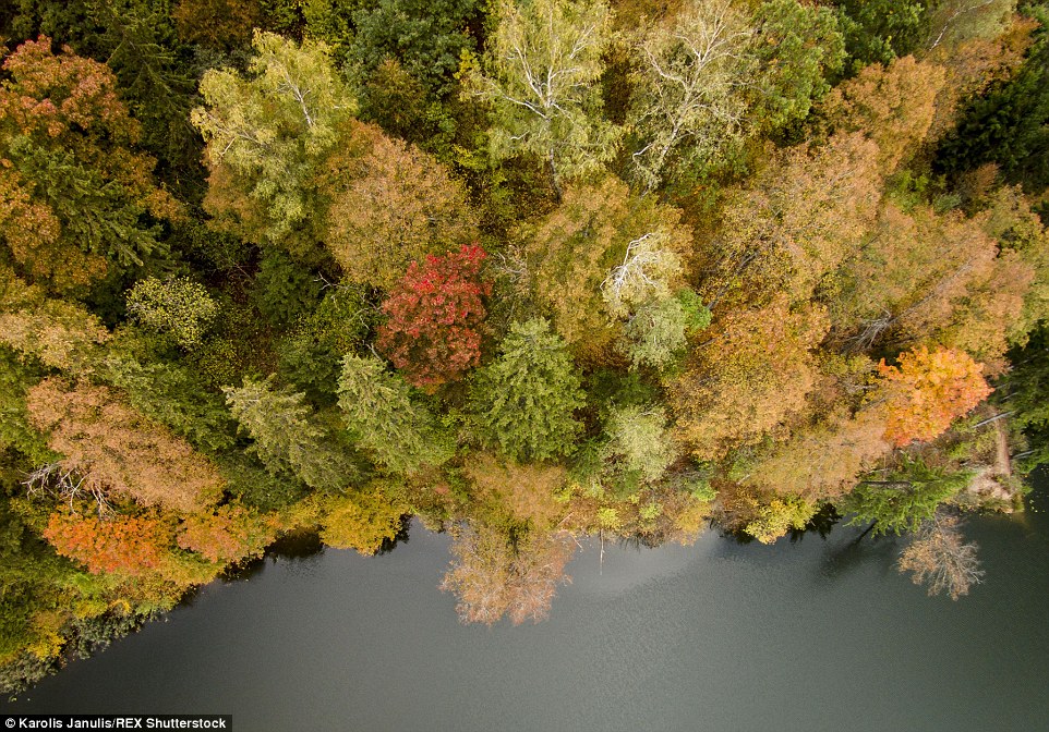 Lithuania autmun drone footage 4