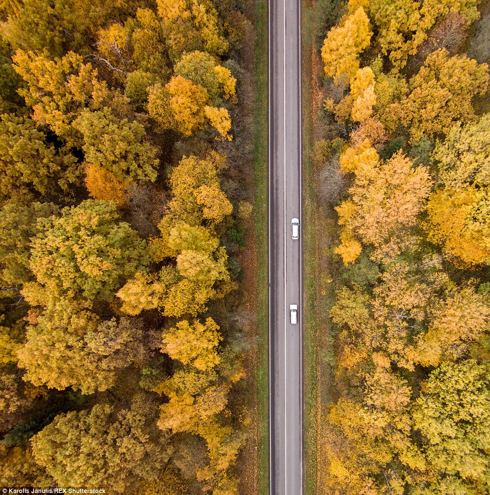 Lithuania autmun drone footage