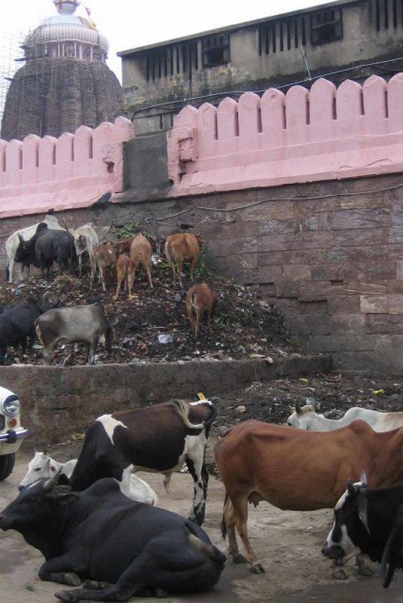 Puri, where heaven and hell come together