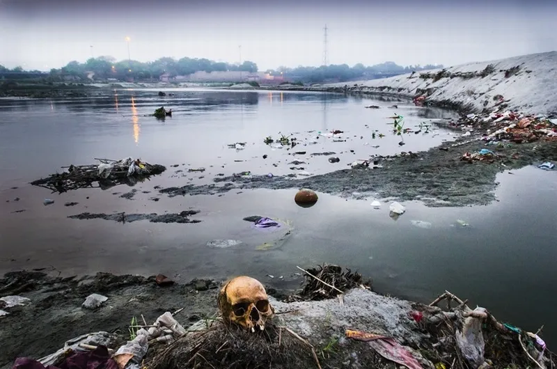 A human skull on the banks of river Yamuna in Wazirabad, New Delhi on May 5, 2013. According to some older sects of Hinduism, the human body is immersed in the river instead of burning it, and these toxic remains pollute the river for many years afterwards.