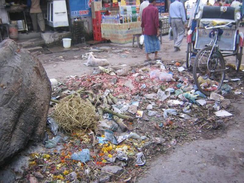 Roadside garbage India