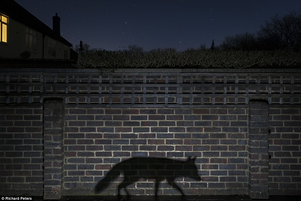 Shadow walker by Richard Peters (UK).