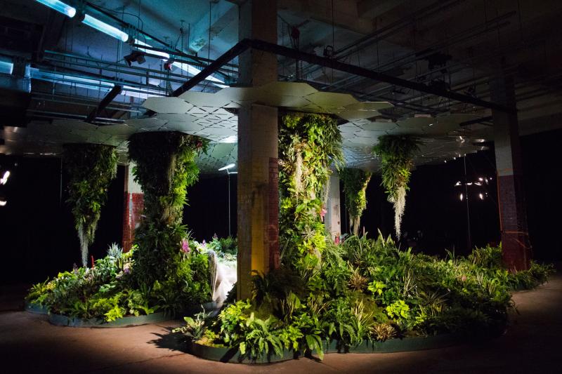 https://www.planetcustodian.com/wp-content/uploads/2015/10/Worlds-first-underground-park-lowline-2.jpg