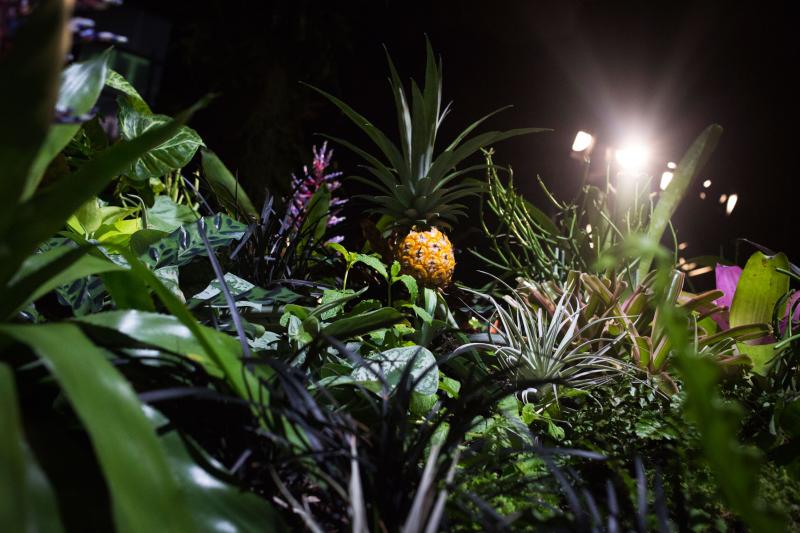 World's first underground park lowline 4