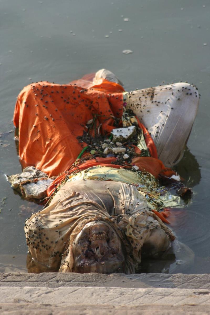dead body in ganges river
