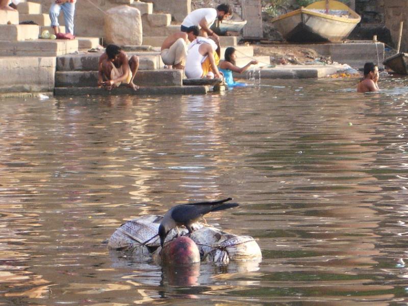 floting bodies in ganges