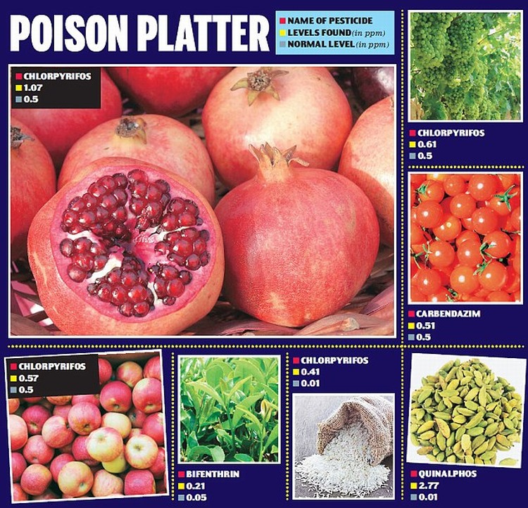 pesticide in indian food