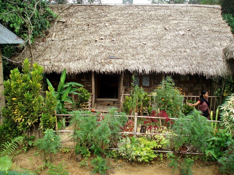 Cleanest village in Asia - Mawlynnong 10