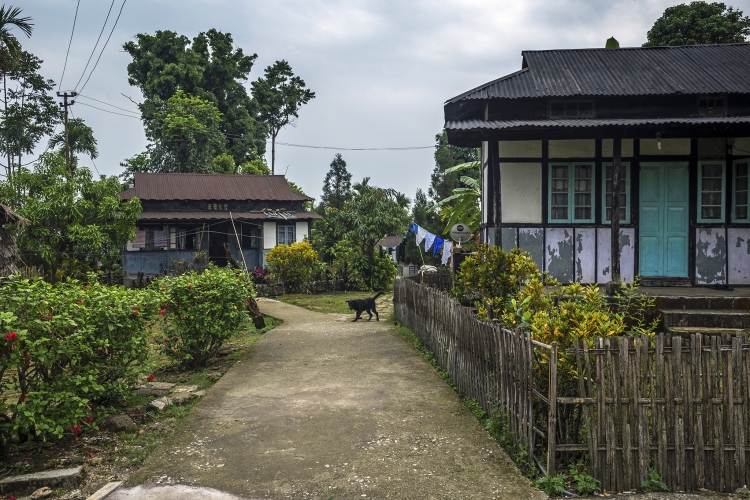 Cleanest village in Asia - Mawlynnong 4