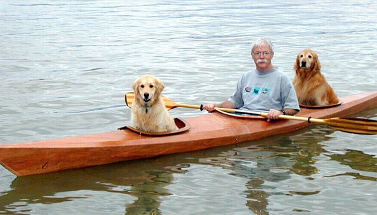 Dog-friendly kayak by david bahnson 6