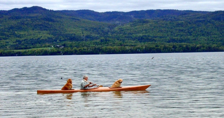 Dog-friendly kayak by david bahnson