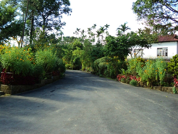 Mawlynnong village 1