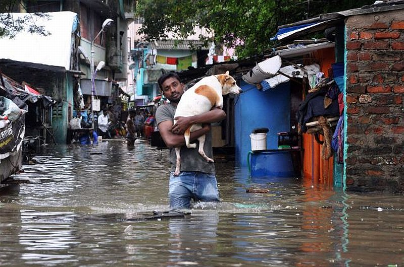 Chennai rains picture 29