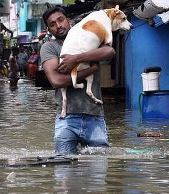 Chennai-rains-picture-29