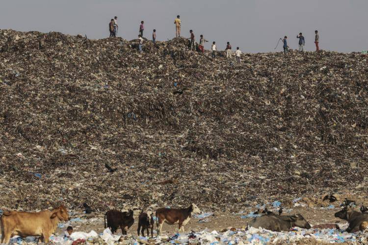 Deonar dumping ground