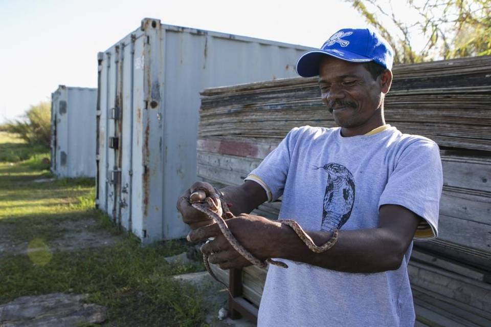 Florida python hunt