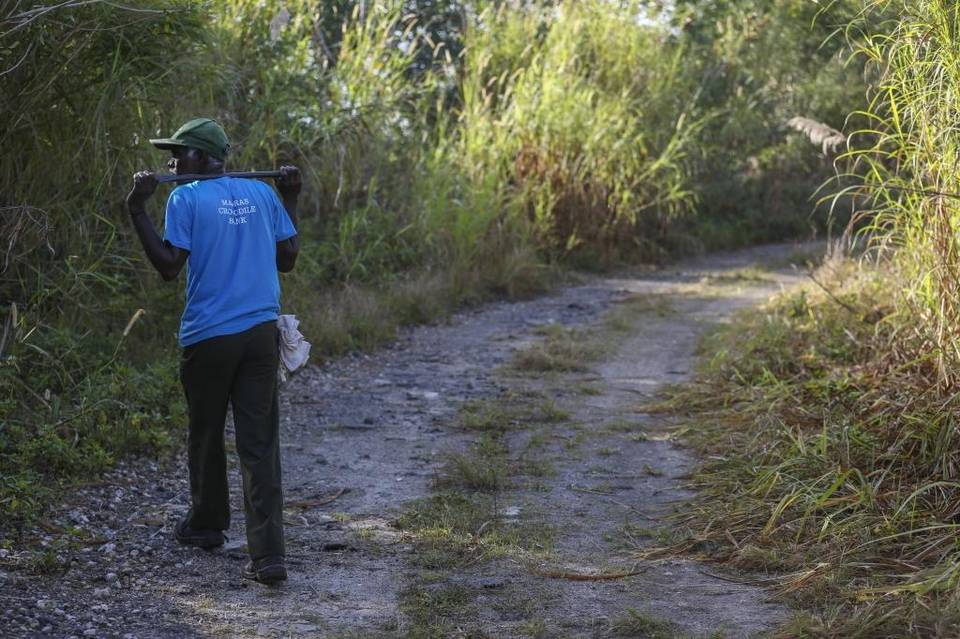 Indian irula tribe in Florida