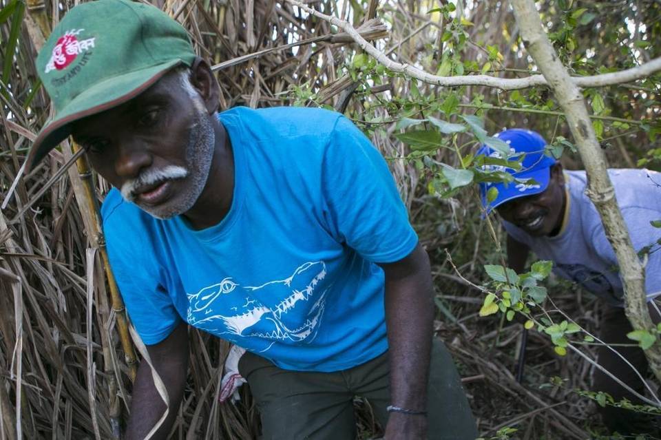 Indian snake hunters in america