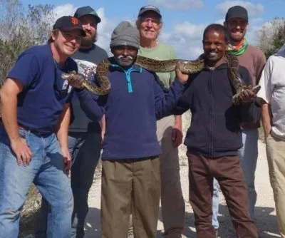 Irula-python-hunt-in-florida