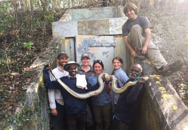 Masi Sadaiyan and Vadivel Gopal have caught 27 pythons in Florida so far