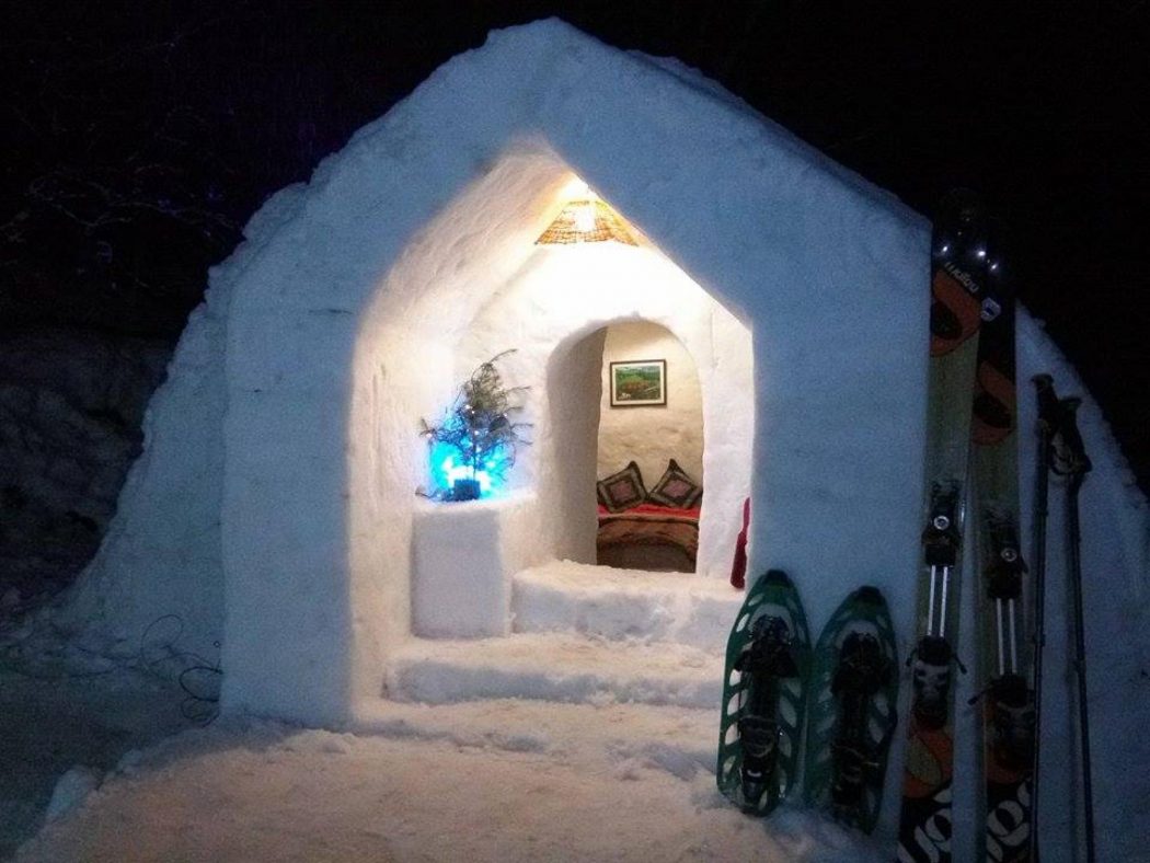 manali-igloo-stay-4-1050x788