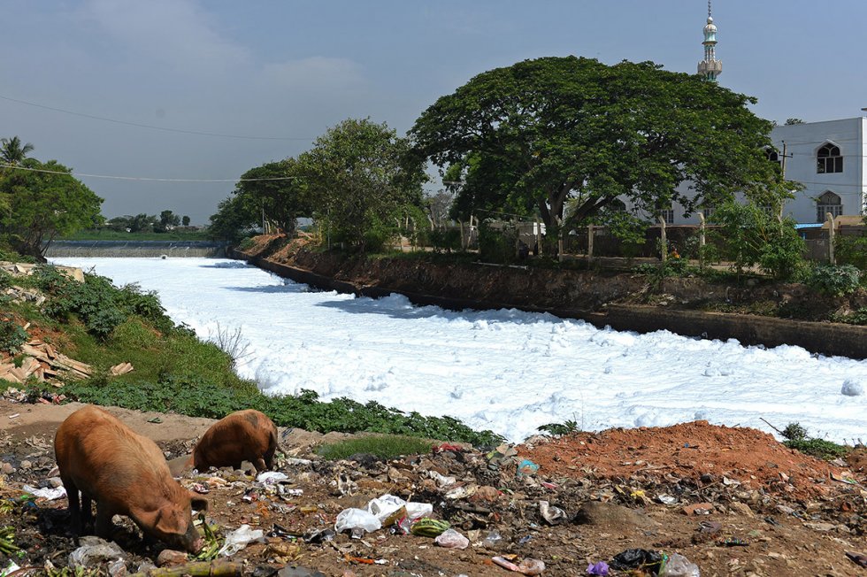 Bellandur Lake to Varthur Lake filled with toxic foam, emanating from sewage in east Bangalore