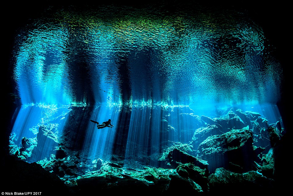 Kukulkan Cenote in Mexico by Nick Blake (British Underwater Photographer of the Year 2017)