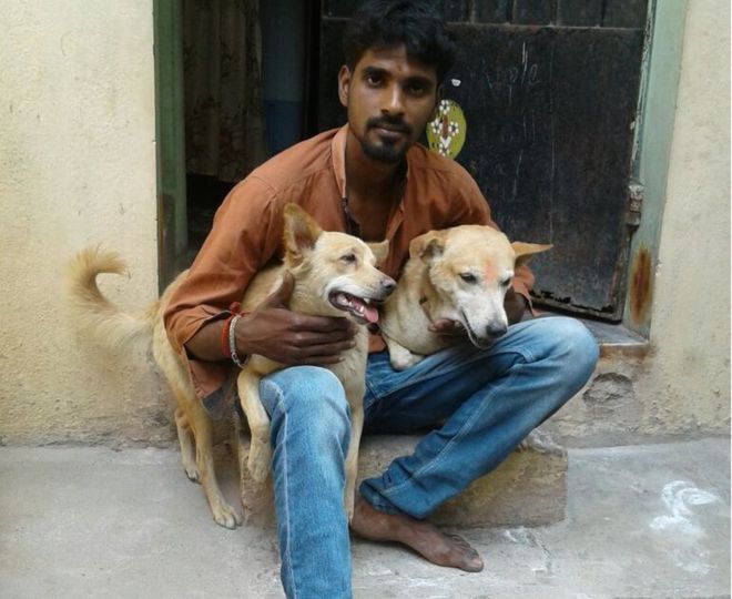 hero dogs of chennai