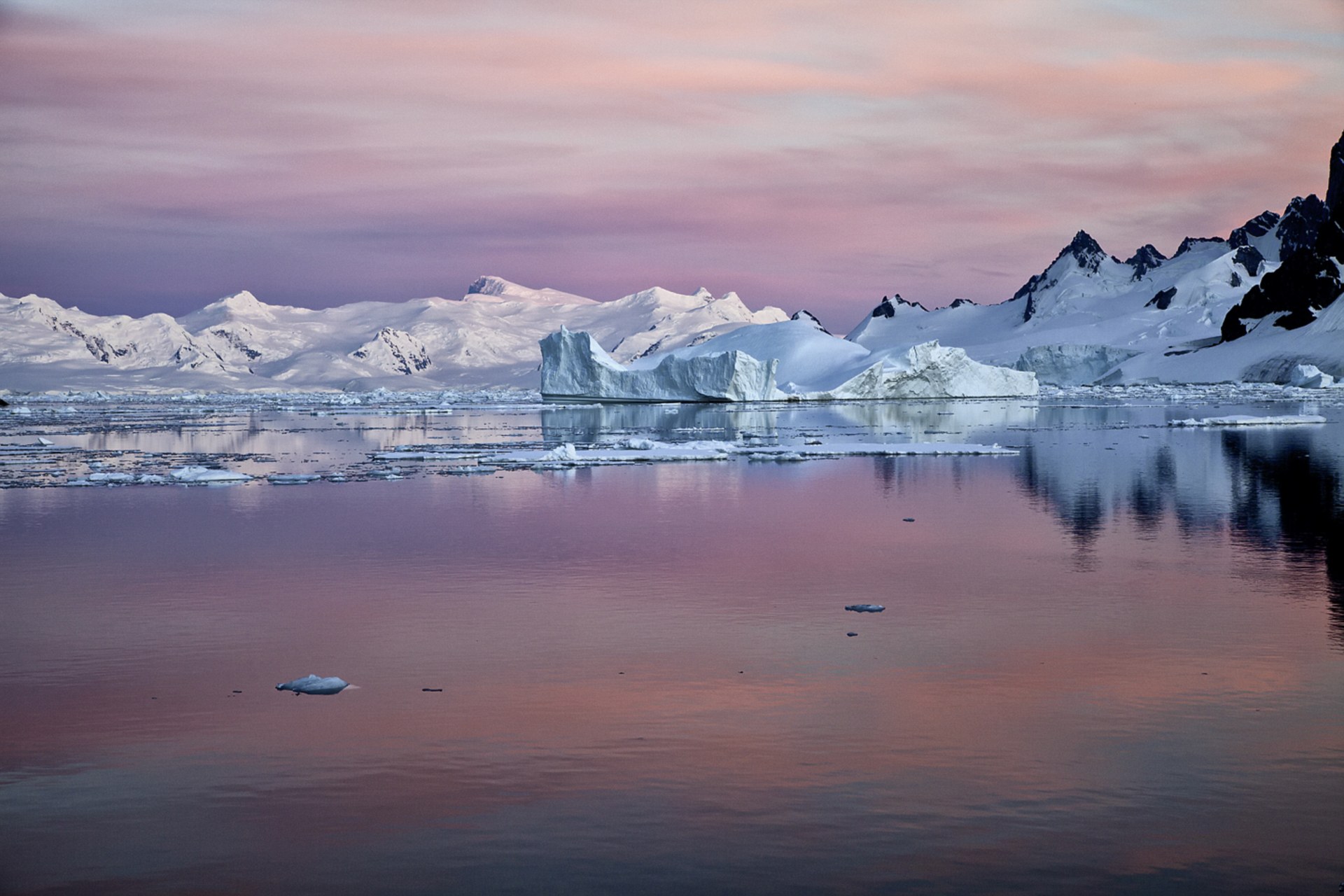 photographer ira meyer antarctica photo collection 11