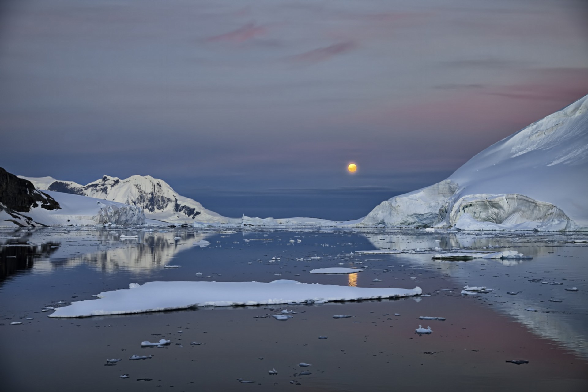 photographer ira meyer antarctica photo collection 13