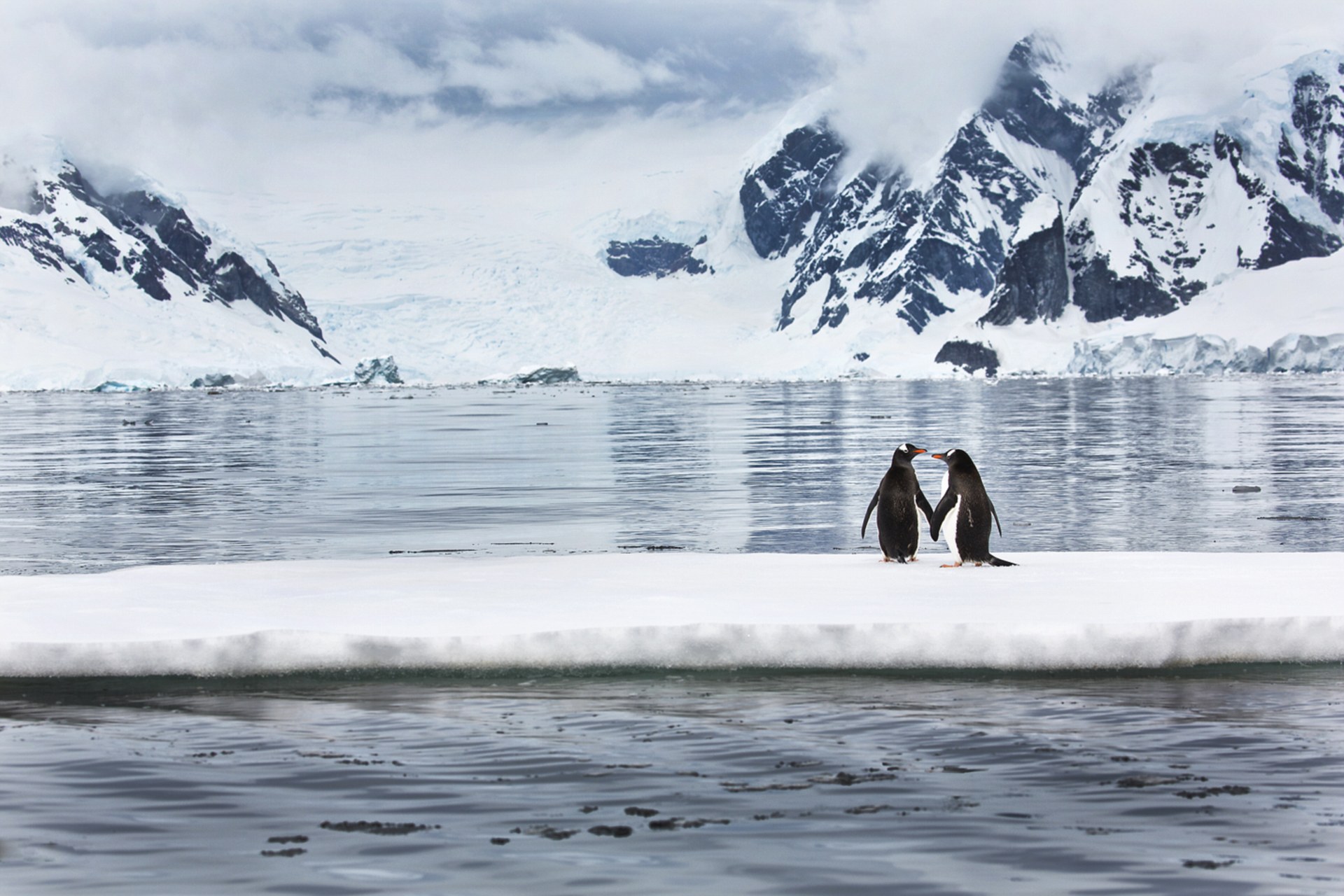 photographer ira meyer antarctica photo collection 5