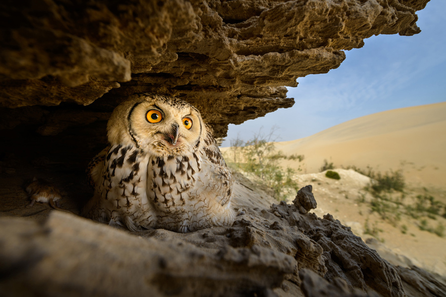 Cliff view by Husain Hakin Alfraid, Saudi Arabia
