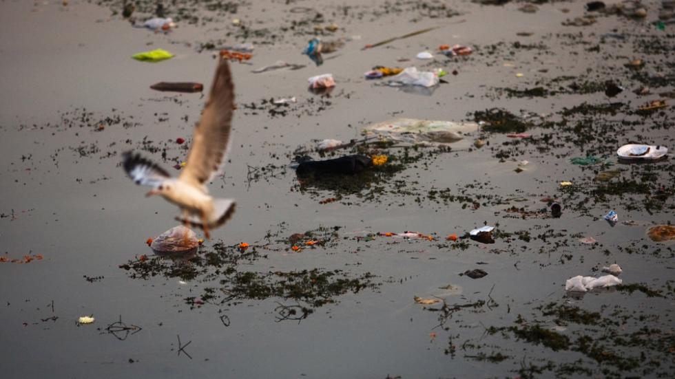 Litter and debris float down a stretch of the Yamuna river in Delhi