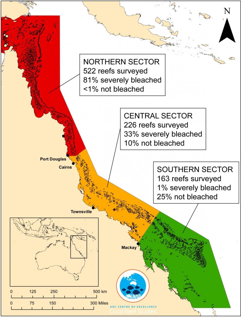 Great barrier reef bleaching figures