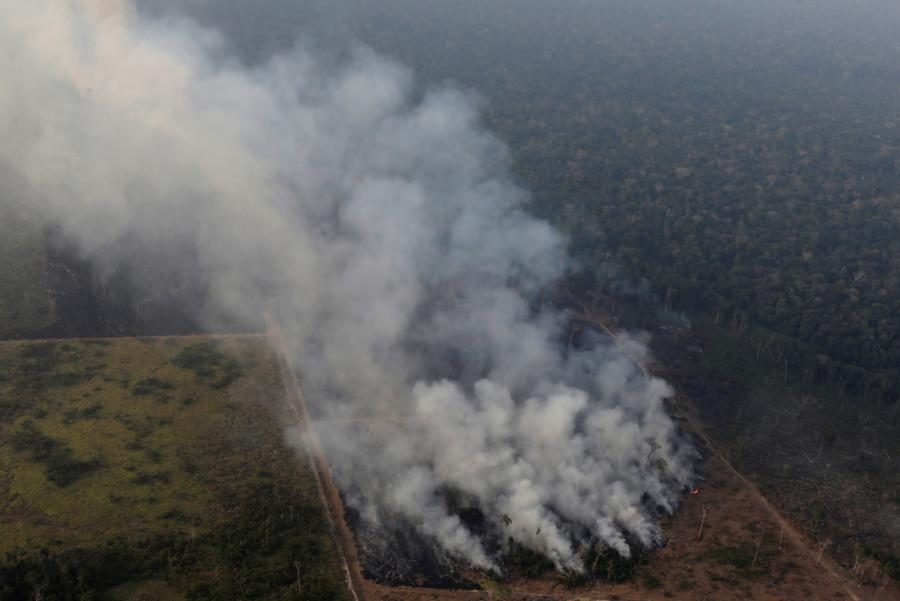 Shocking Report: Amazon releases more carbon than it absorbs