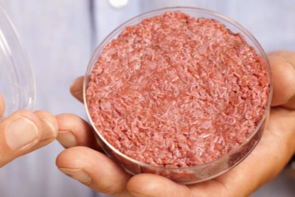 Researchers at IIT Guwahati Have Developed Lab-grown Meat with More Nutritious Values and Same Taste