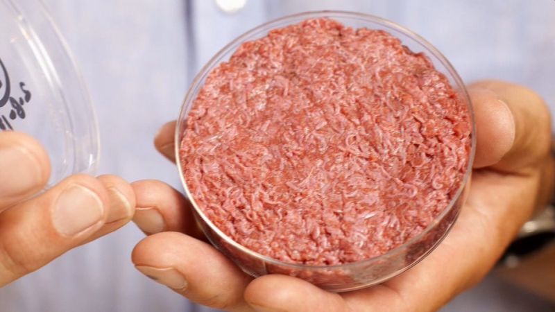 Researchers at IIT Guwahati Have Developed Lab-grown Meat with More Nutritious Values and Same Taste