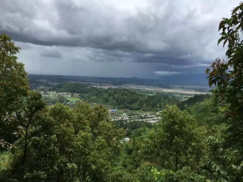 Man Selflessly Dedicated 18 Years to Replanting Forest in Manipur