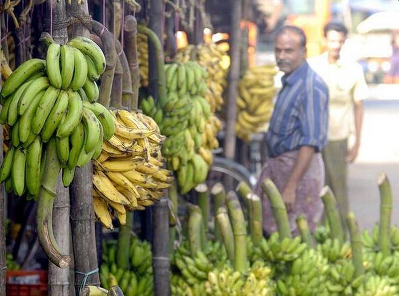 Climate Change Can Reduce Banana Yields in Largest Producer Countries