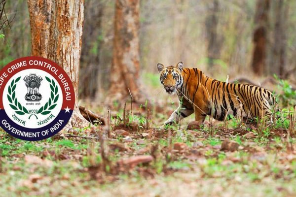 Wildlife Crime Control Bureau