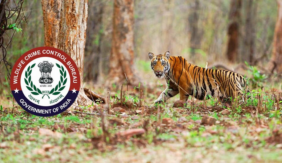 Wildlife Crime Control Bureau