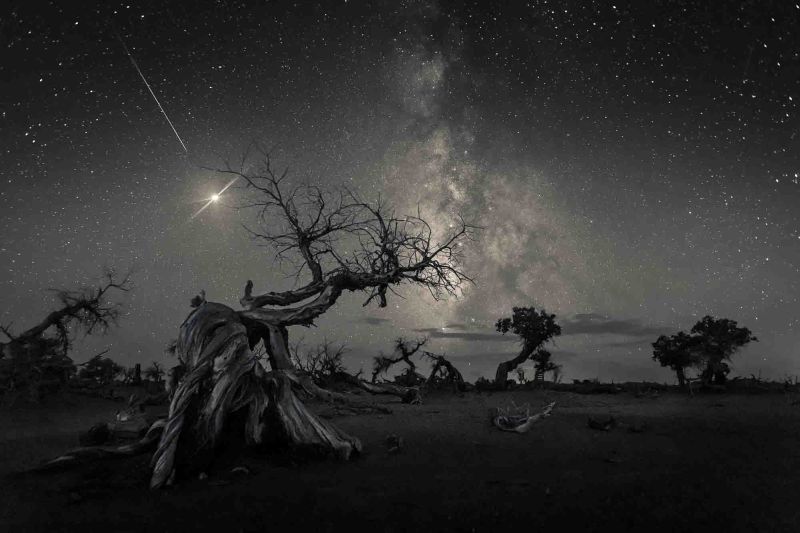 Winners of Insight Investment Astronomy Photographer 2019 Artistic Glances Into Space