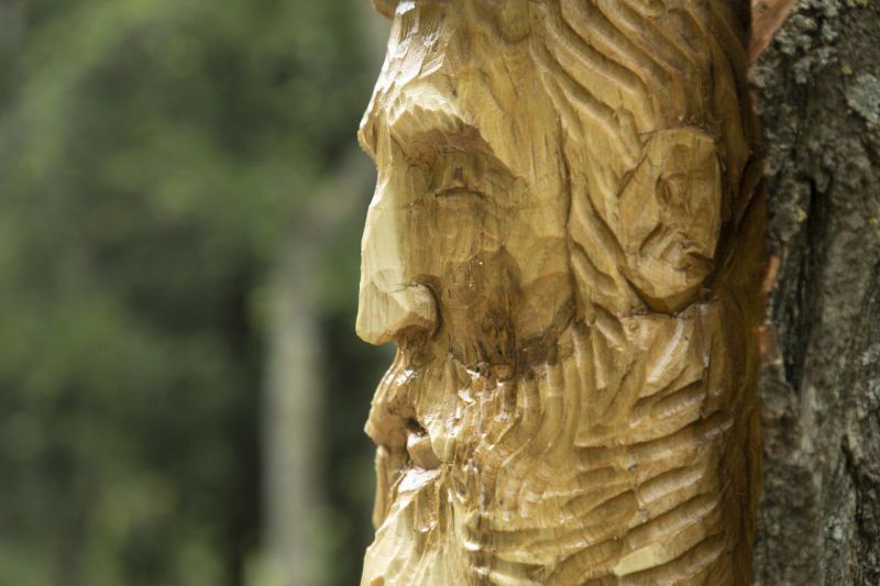 Andrea Gandini Breathes Life in Dead Tree Stumps by Turning Them into Beautiful Sculptures