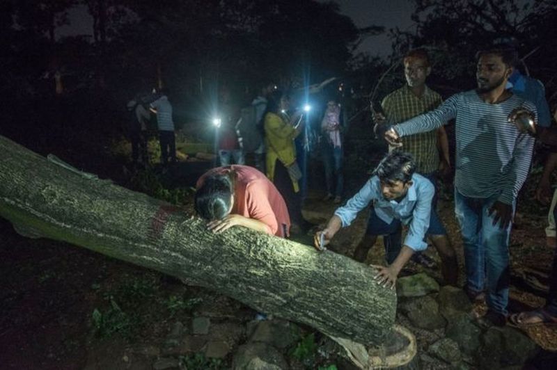 SC Orders Maharashtra Government to stop Tree cutting in Aarey Colony