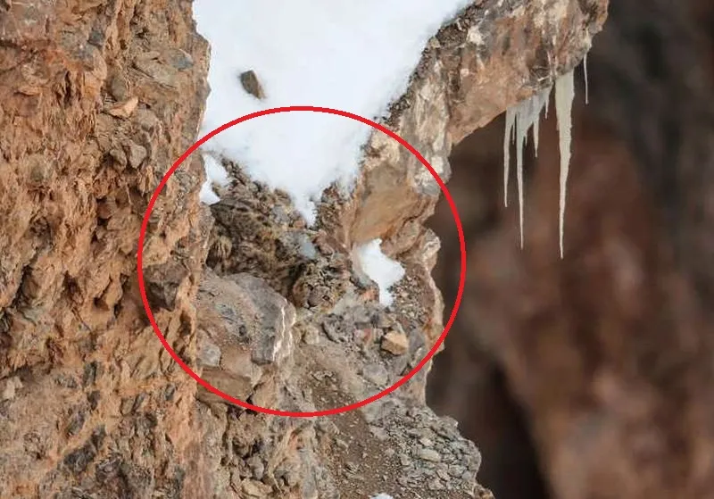 Saurabh Desai Snow Leopard Photograph in Kibber Spiti