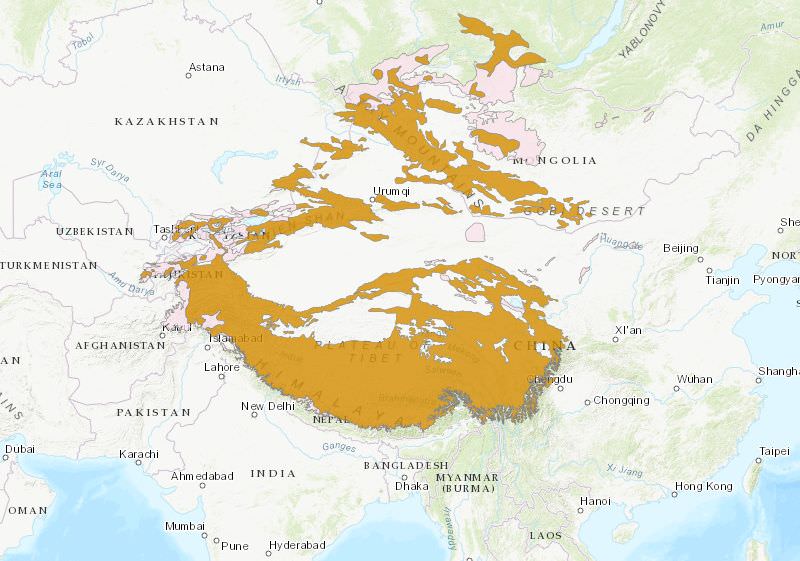 Snow Leopard Habitat - World Map