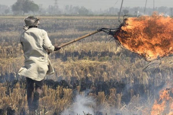 Stubble Burning in North India Caused Severe Air Pollution in Delhi