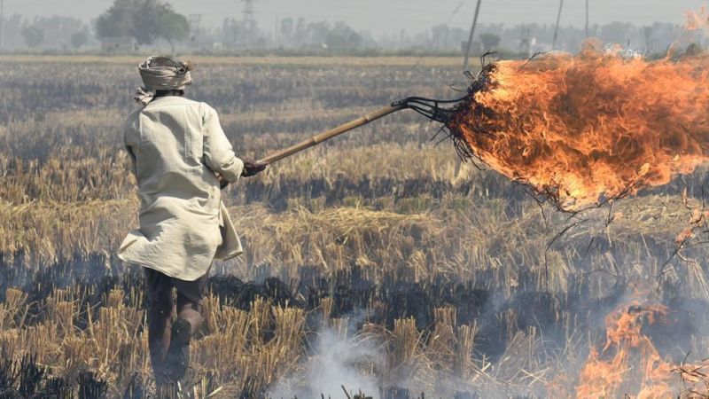 Stubble Burning in North India Caused Severe Air Pollution in Delhi