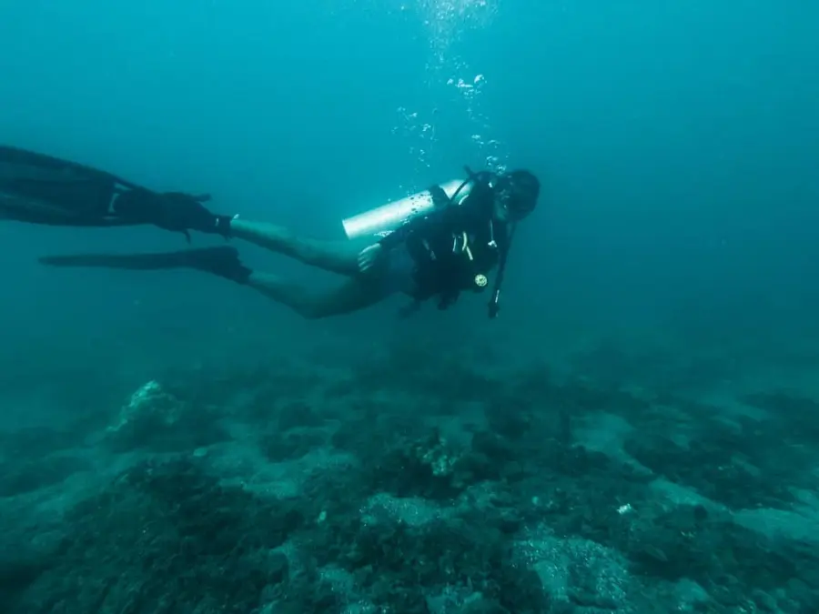 Suneha Jagannathan - Marine Biologist 